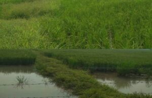 Jakhani Model, Water Conservation